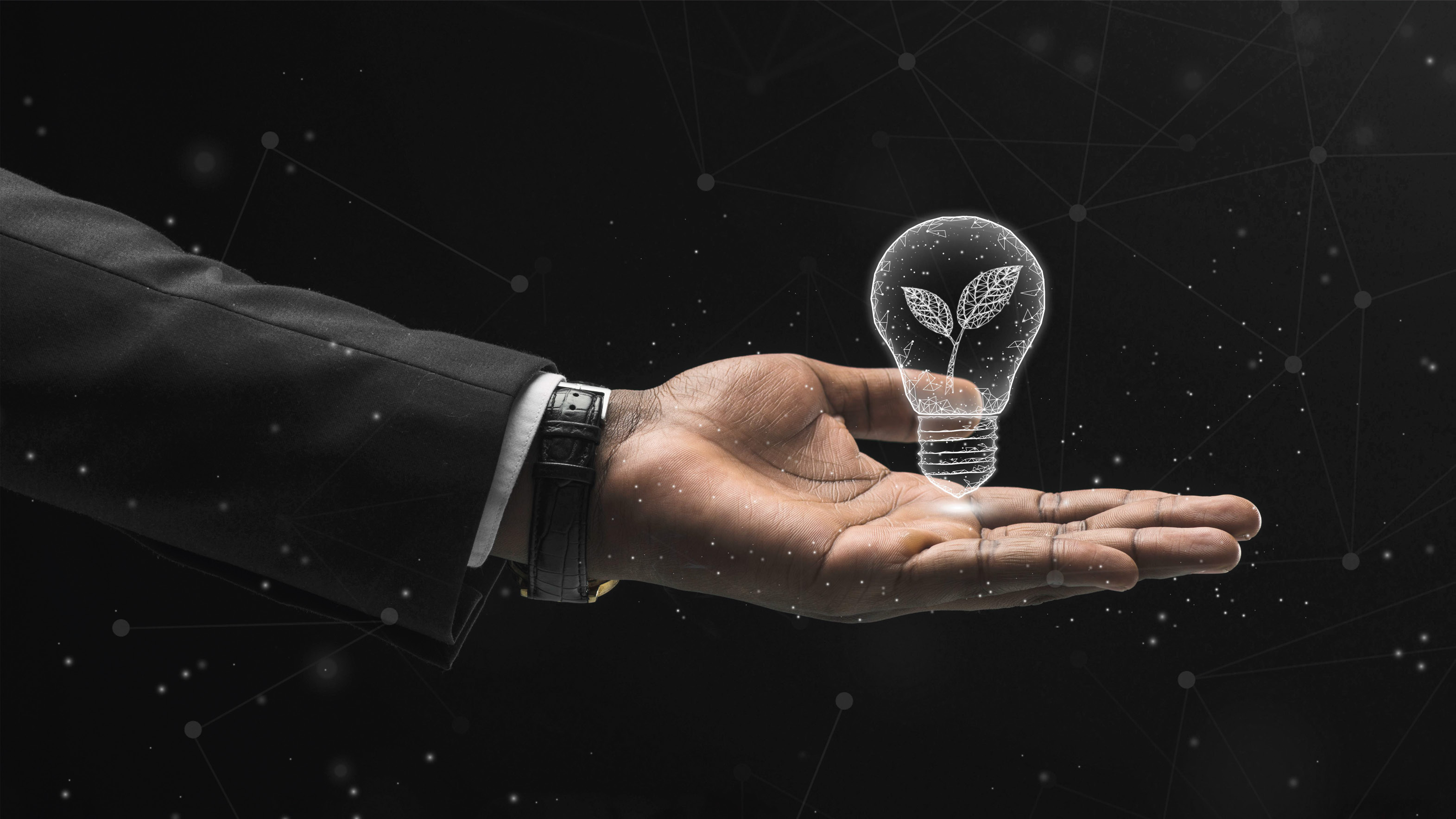 Nilista strategic operations